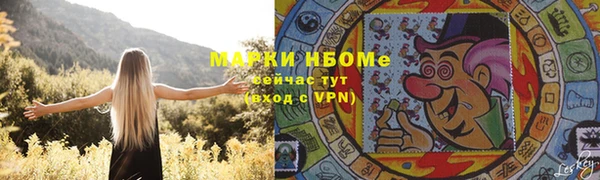 индика Алзамай