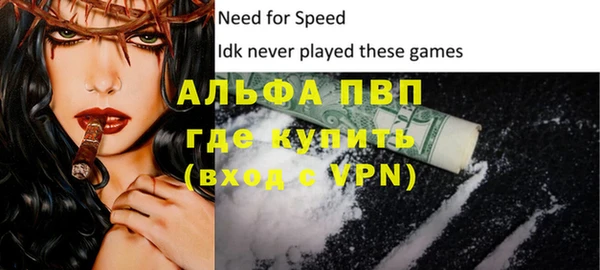 индика Алзамай