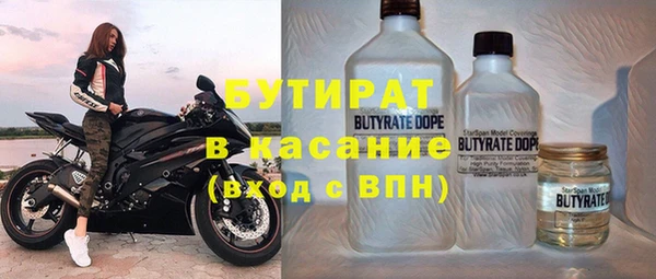 индика Алзамай